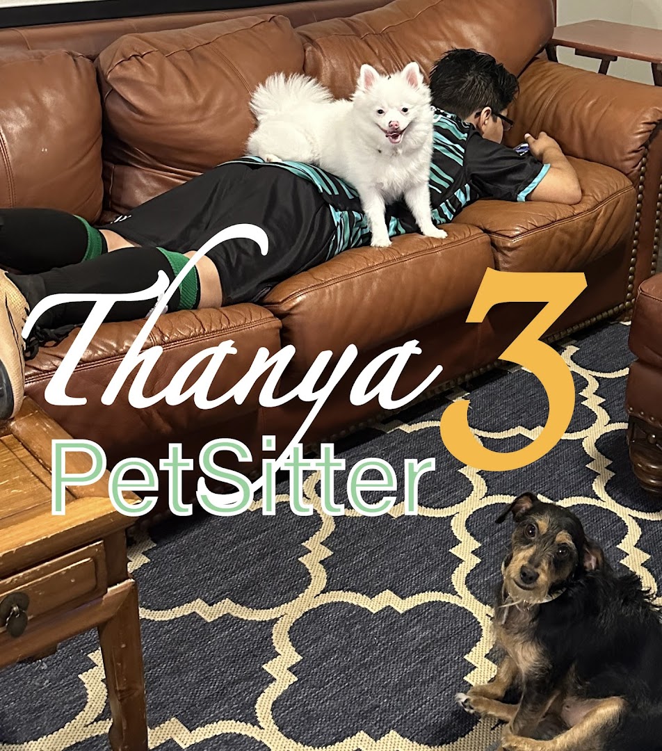 Thanya Pet Sitter