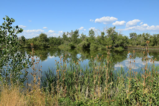 Park «Belmar Park», reviews and photos, 801 S Wadsworth Blvd, Lakewood, CO 80226, USA