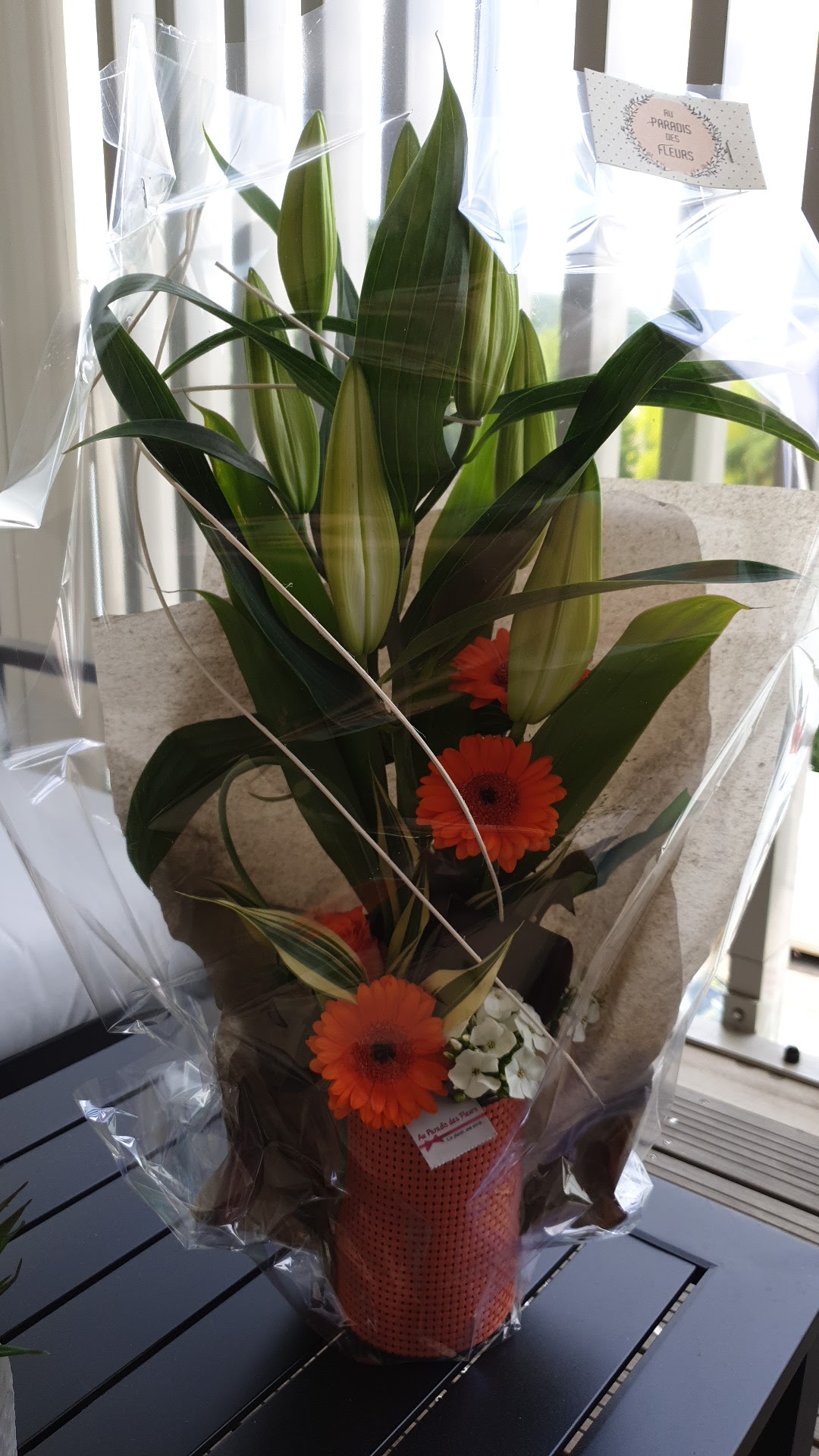 Photo n° 1 de l'avis de Sandra.l fait le 05/06/2019 à 11:41