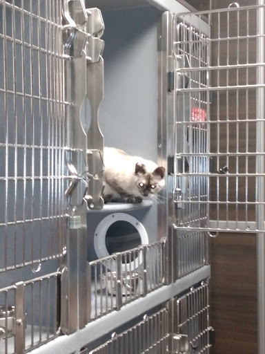 Pet Supply Store «PetSmart», reviews and photos, 6345 Garth Rd #140, Baytown, TX 77521, USA