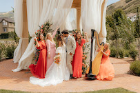 Harp Music by Chelsey & Harp Associates - Photo 6 - Car repair in , Logan