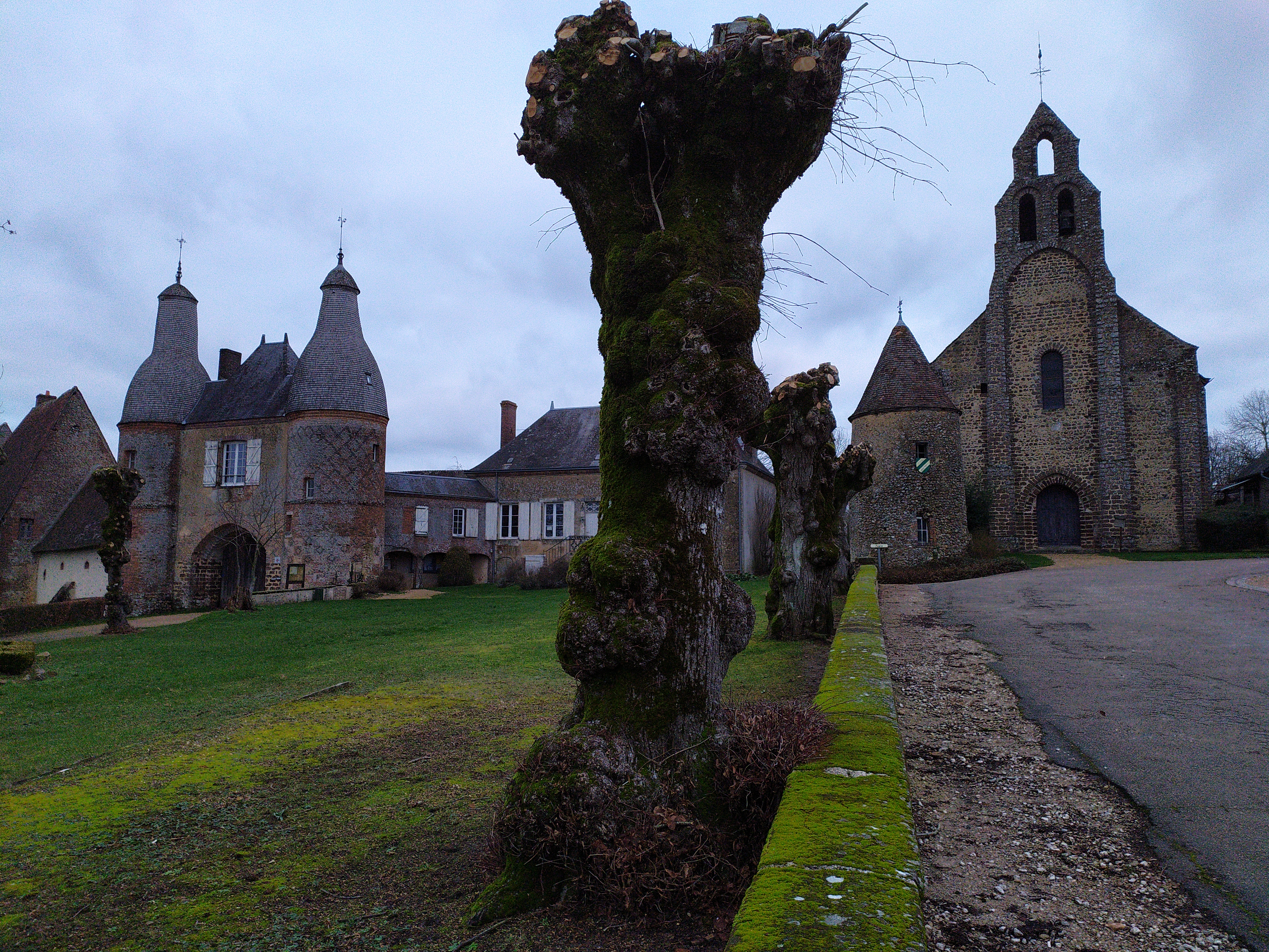 Photo n° 1 de l'avis de joel.a fait le 02/01/2021 à 18:57