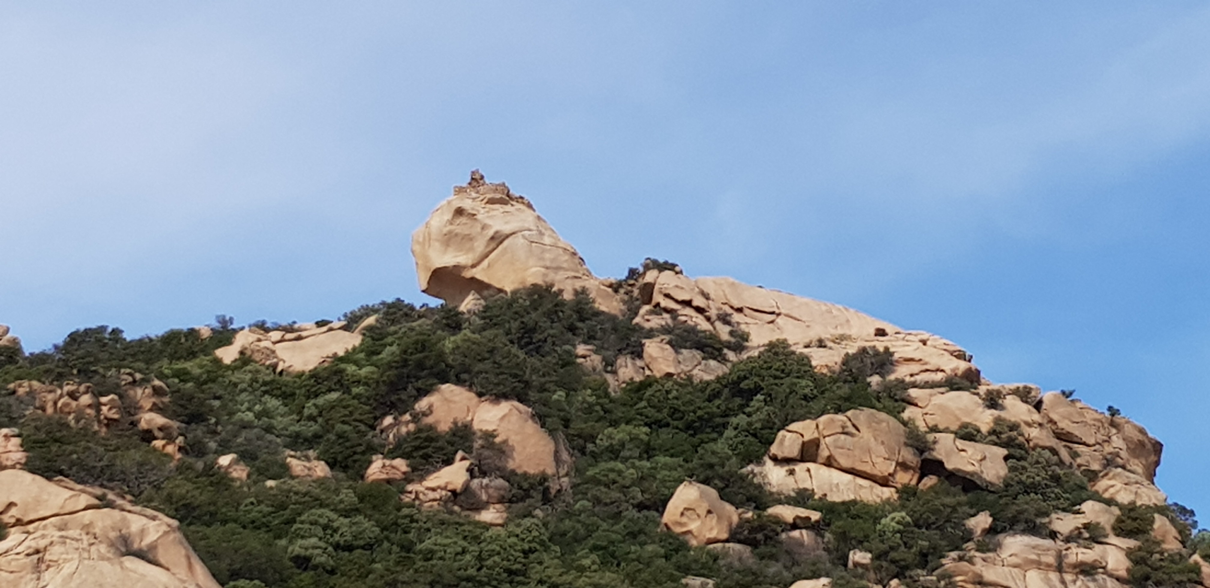 Photo n° 1 de l'avis de Christelle.e fait le 20/10/2018 à 11:49