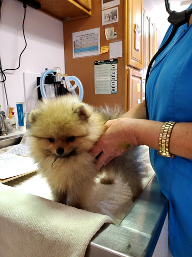 Frankford Veterinary Hospital veterinary clinic