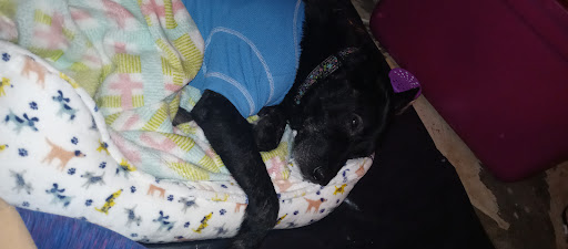 Sporting Goods Store «Academy Sports + Outdoors», reviews and photos, 61107 Airport Rd, Slidell, LA 70460, USA