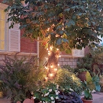 Photo n°7 de l'avis de Eleonora.r fait le 15/08/2023 à 06:35 sur le  Hotel Orizzonte à Bellaria - Igea Marina