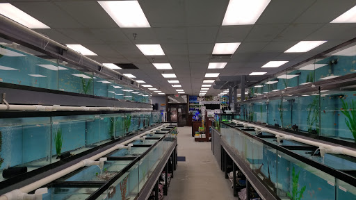 Tropical Fish Store «Reef To Rift Aquarium Store», reviews and photos, 1540 Cowpath Rd, Hatfield, PA 19440, USA