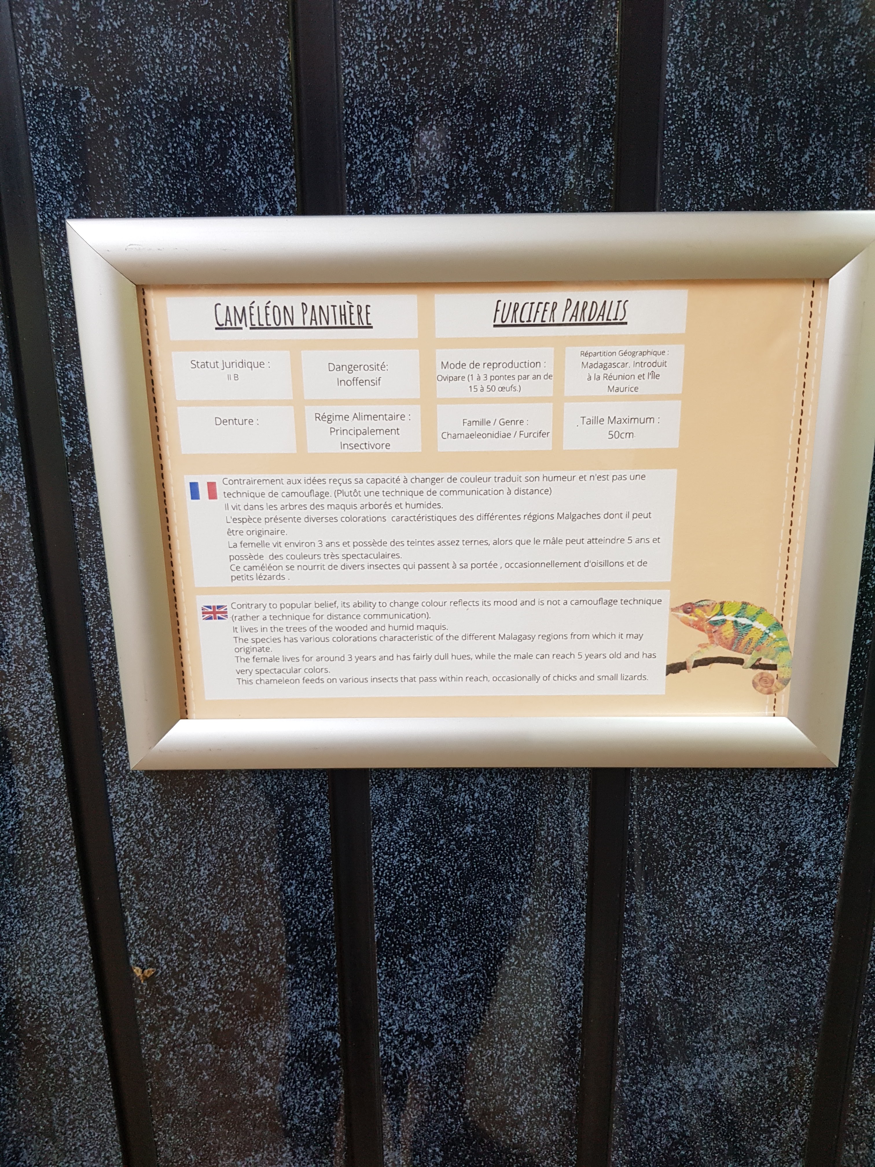 Photo n° 22 de l'avis de Lala.a fait le 24/08/2020 à 19:44