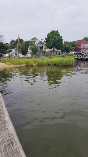 Art Museum «Annapolis Maritime Museum», reviews and photos, 723 2nd St, Annapolis, MD 21403, USA