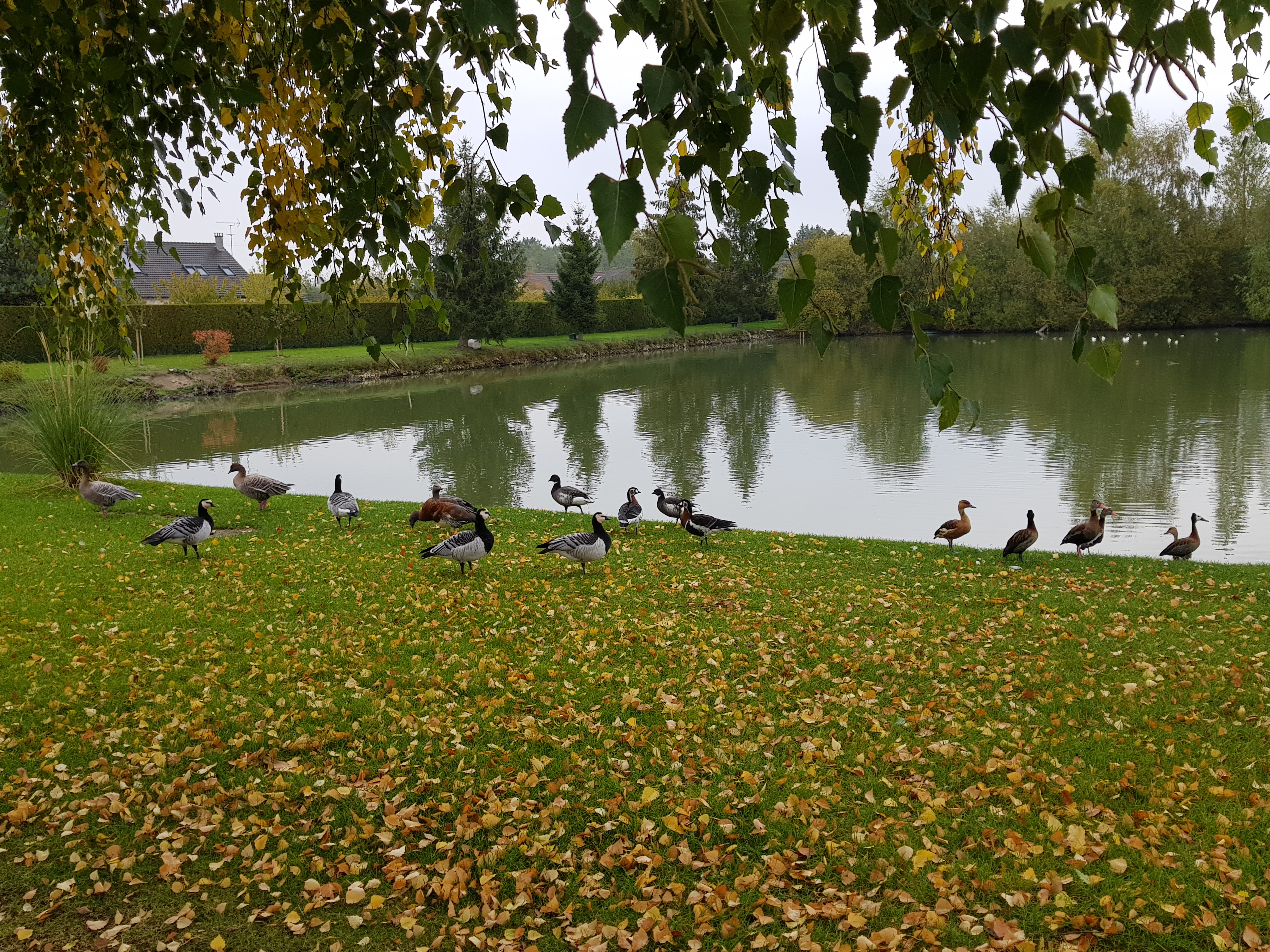 Photo n° 7 de l'avis de franck.e fait le 15/02/2020 à 13:03
