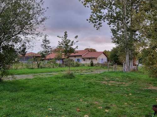 Etangs Guillaume / Gîtes Coeur d'étang à Mizérieux