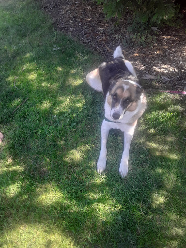 Park «Khunamokwst Park», reviews and photos, 5200 NE Alberta St, Portland, OR 97218, USA