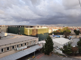 İstanbul Üniversitesi İstanbul Tıp Fakültesi Kbb Kliniği