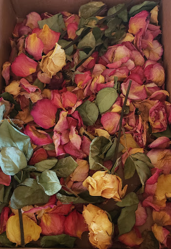 Day Spa «Touch of Class Day Spa», reviews and photos, 3000 N University Dr A, Coral Springs, FL 33065, USA