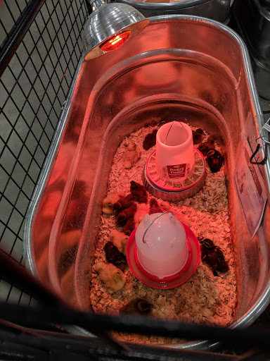 Home Improvement Store «Tractor Supply Co.», reviews and photos, 378 Elmira Rd, Ithaca, NY 14850, USA