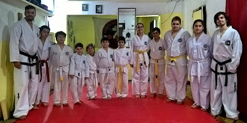 Manfredi Team Fighters Taekwondo - Kickboxing