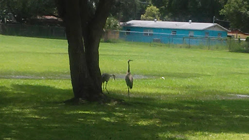 Recreation Center «Martin L King Jr Recreation», reviews and photos, 1601 E Dr Martin Luther King Jr Blvd, Plant City, FL 33563, USA