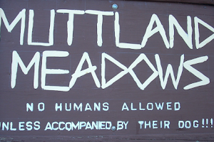 Muttland Meadows image