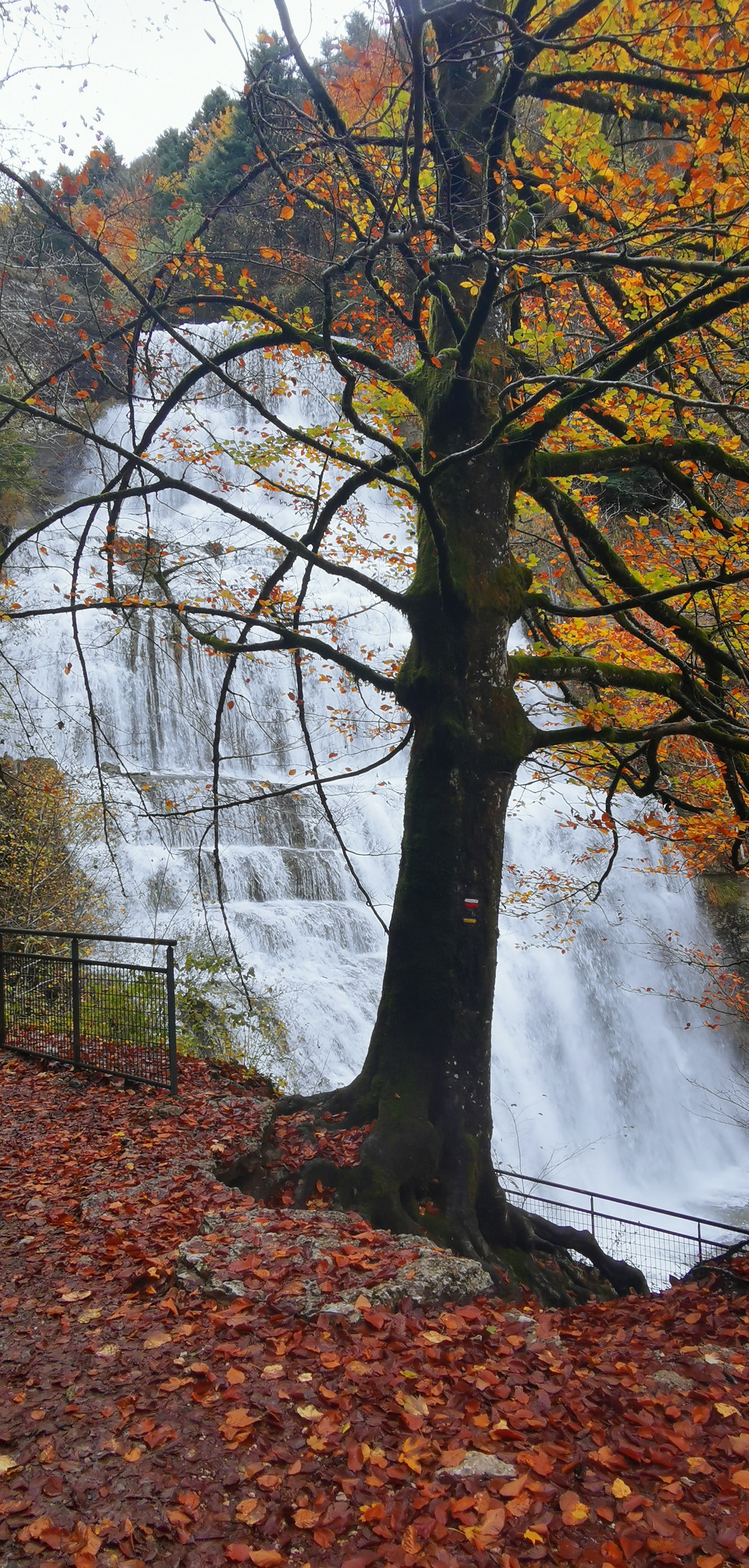 Photo n° 1 de l'avis de Yvon.o fait le 07/11/2019 à 17:10