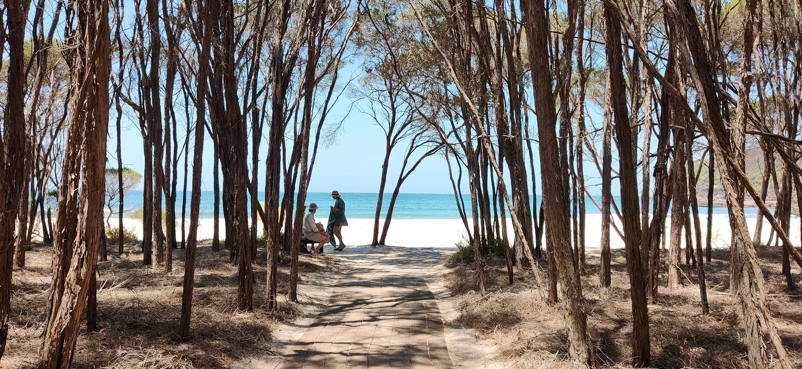 Wonboyn Beach photo #9