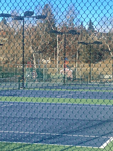 Tennis clubs in Calgary