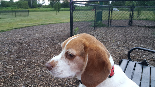 Dog Park «Carol Stream Bark Park», reviews and photos, 280 Kuhn Rd, Carol Stream, IL 60188, USA