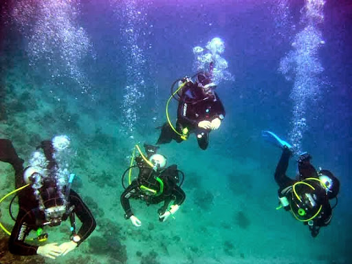 VIP Diver diving center