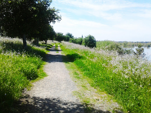 Park «Alameda Creek Regional Trail», reviews and photos, Alameda Creek Trail, Fremont, CA 94536, USA