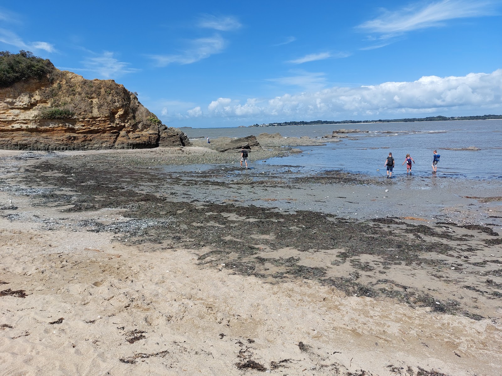 Plage De La Marche Aux Boeufs'in fotoğrafı vahşi alan
