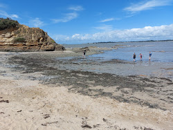 Plage De La Marche Aux Boeufs'in fotoğrafı vahşi alan