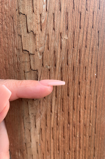 Nail Salon «Beauty Nail», reviews and photos, 5605 112th St E, Puyallup, WA 98373, USA