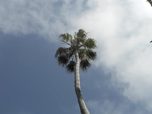 Mortgage Lender «Above All Real Estate Services, inc.», reviews and photos