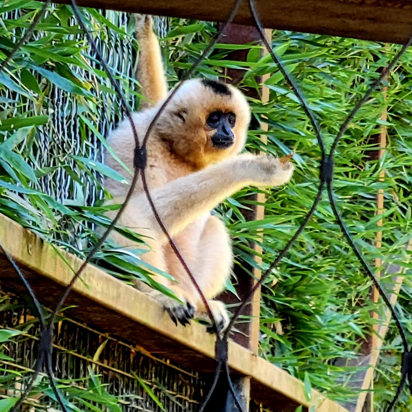 Photo n° 3 de l'avis de Henri.u fait le 24/08/2023 à 07:09