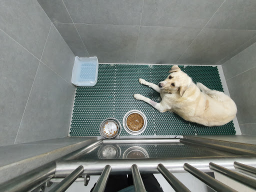 Veterinarios La Caridad en La Caridad