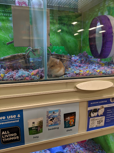 Pet Supply Store «PetSmart», reviews and photos, 9921 Pulaski Hwy, Baltimore, MD 21220, USA