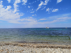 Dog Dreams beach'in fotoğrafı çok temiz temizlik seviyesi ile
