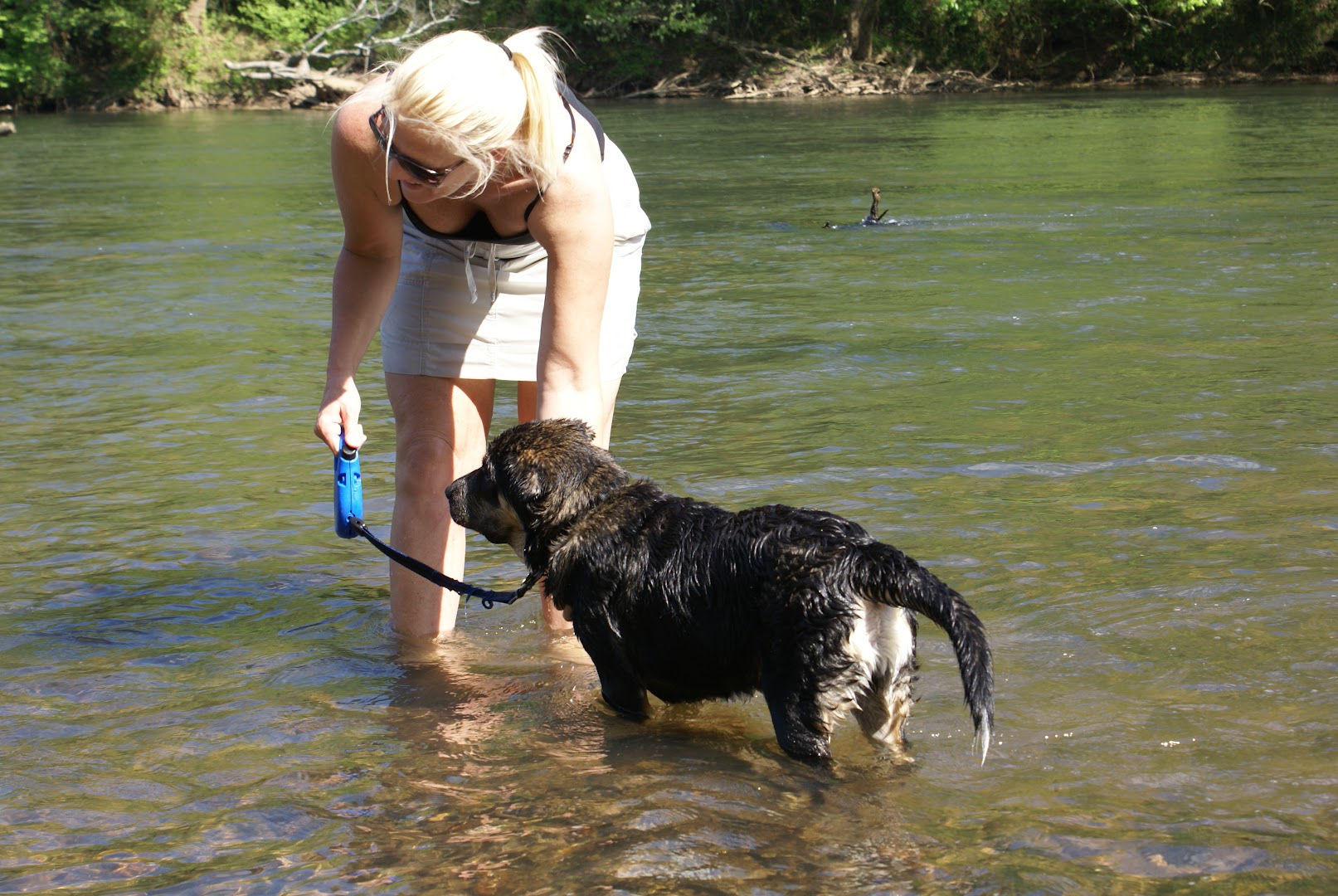 The Loveable Leash