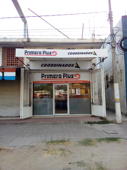 Primera Plus