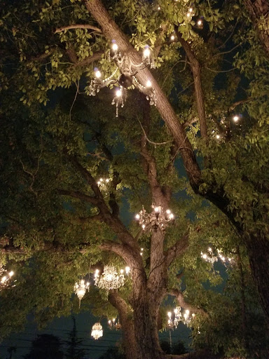 Liquor Store «Bal Harbor Liquor & Deli», reviews and photos, 510 E Balboa Blvd, Newport Beach, CA 92661, USA