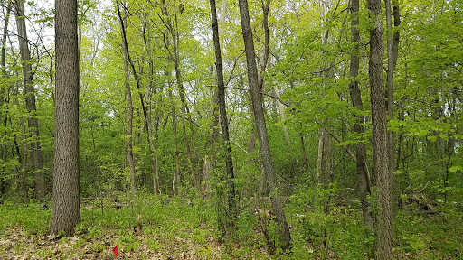 Park «French Regional Park», reviews and photos, 12605 Rockford Rd, Plymouth, MN 55441, USA