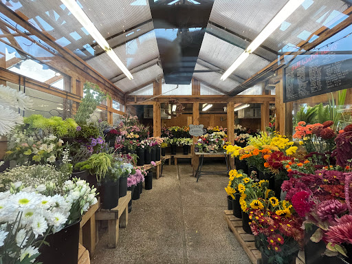 Plant Nursery «Sturtz & Copeland Florist & Greenhouses», reviews and photos, 2851 Valmont Rd, Boulder, CO 80301, USA