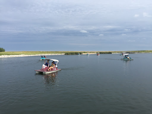 Lakeshore Paddle Sport Rentals