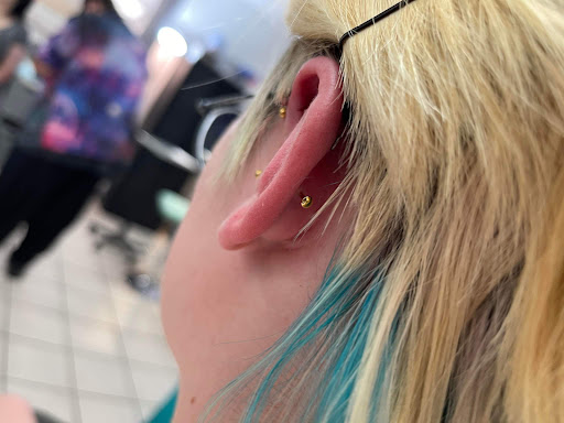 Explore sparrow tattoo ideas, creative tattoo ideas in Nampa, available at Hippie Hoops and Holes