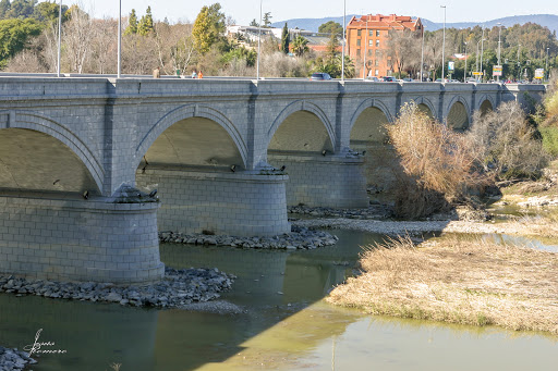 Puente de San Rafael