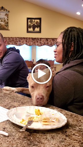 Winery «Wight Vineyards & Winery», reviews and photos, 340 Meyer Dr, Shepherdsville, KY 40165, USA