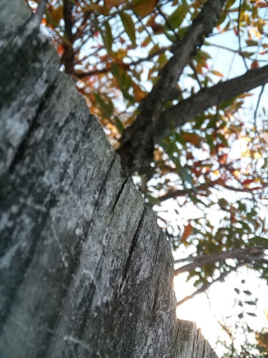 Tire Shop «A C Tire Inc», reviews and photos, 425 S Washington Hwy, Ashland, VA 23005, USA