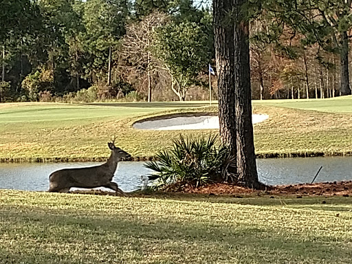 Golf Club «Santa Rosa Golf & Beach Club», reviews and photos, 334 Golf Club Dr, Santa Rosa Beach, FL 32459, USA