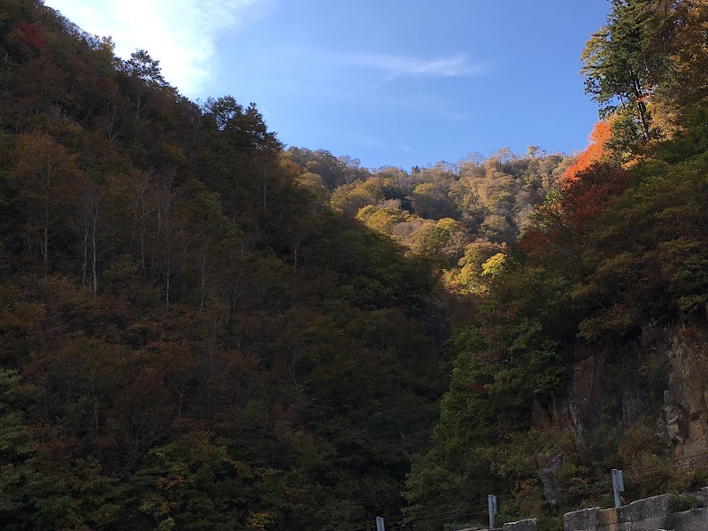 ふくべ谷上園地駐車場 Fukube Garden Parking Lot (P7)