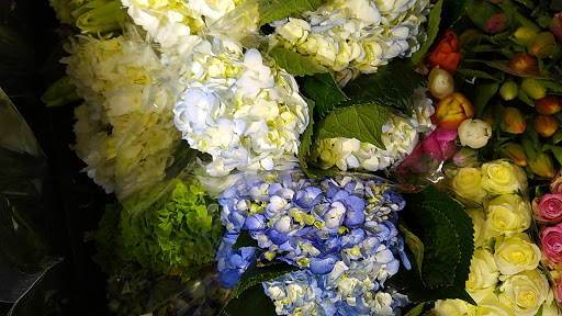 Grocery Store «Whole Foods Market», reviews and photos, 413 Centre St, Jamaica Plain, MA 02130, USA