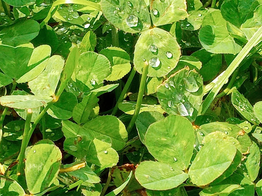 Tourist Attraction «Fond Du Lac Lighthouse», reviews and photos, Lighthouse Dr, Fond du Lac, WI 54935, USA